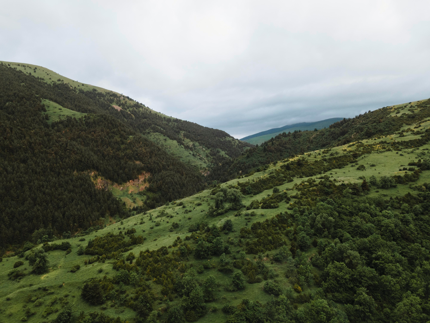 2024/ AUVERGNE, Présentiel